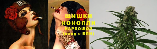 apvp Володарск