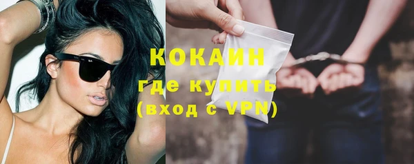 стаф Вязьма