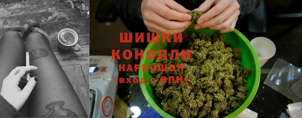 apvp Володарск