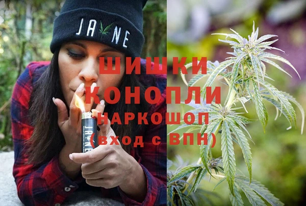 сатива Вязники