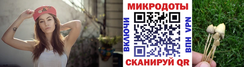Псилоцибиновые грибы GOLDEN TEACHER  Высоковск 
